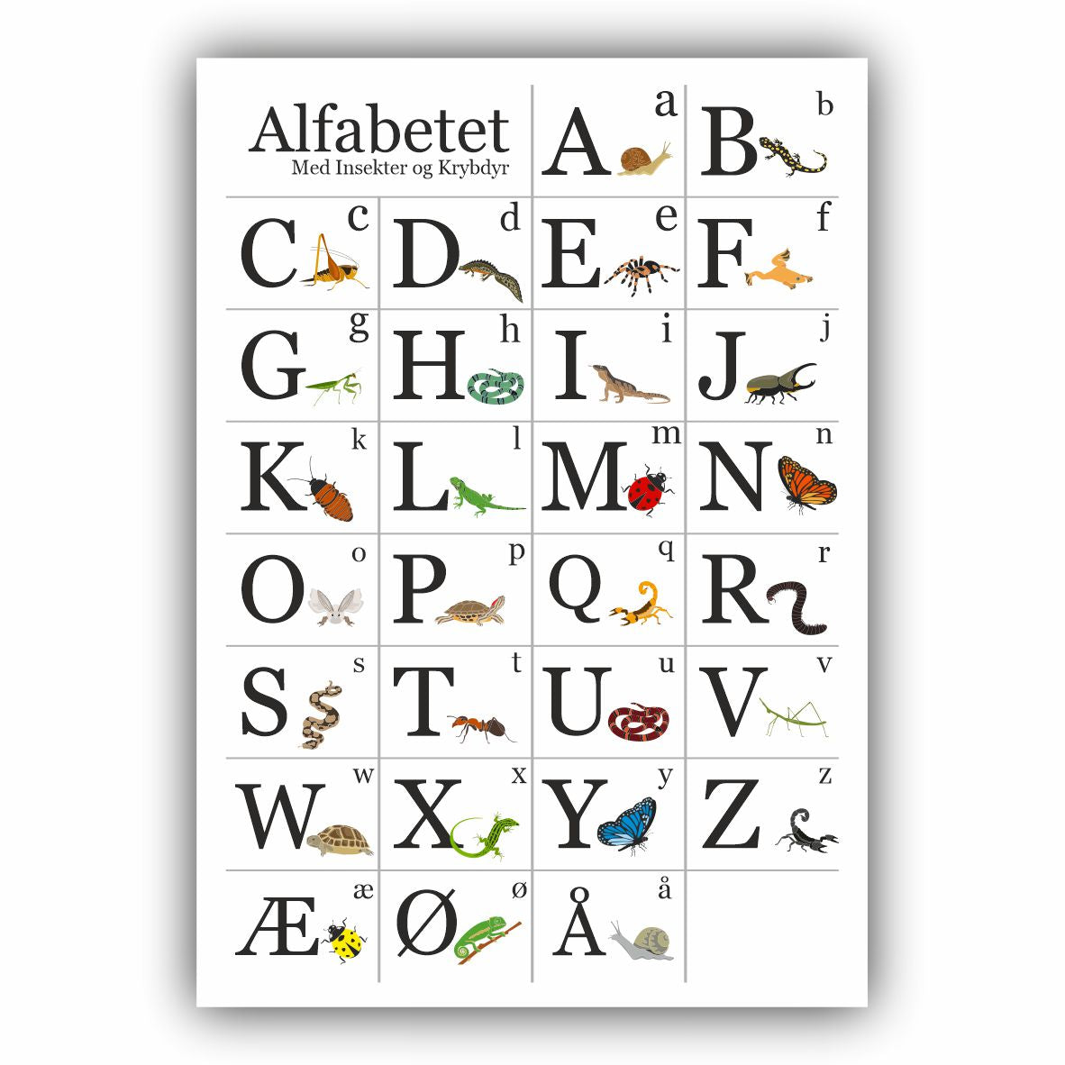 PLAKAT - Alfabetet med dyr - Børneudgaven │ MediePrint.dk – MediePrint ApS