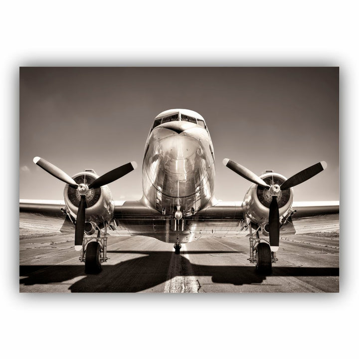 Vintage Fly