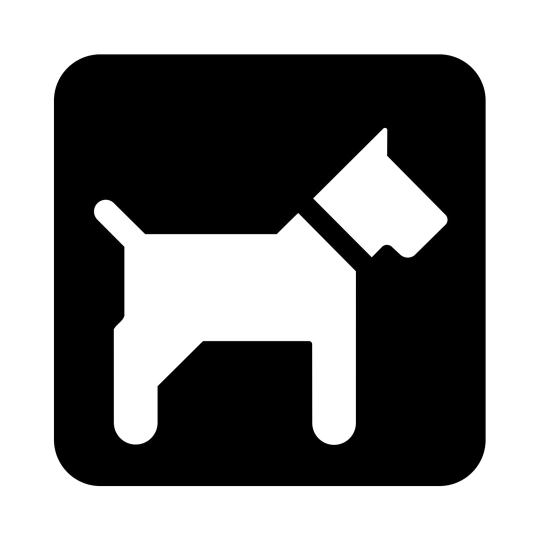 Hund