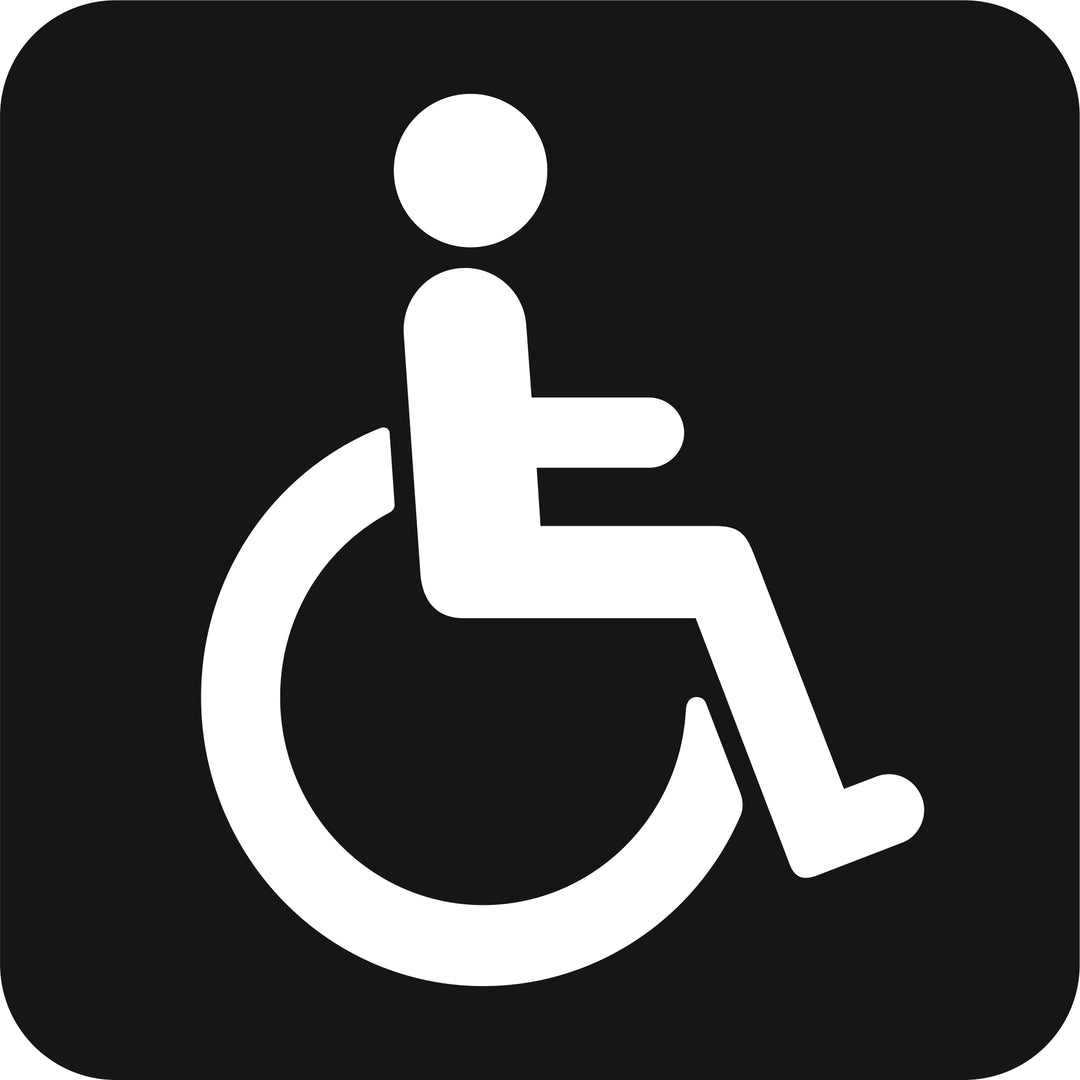 Toilet handicap
