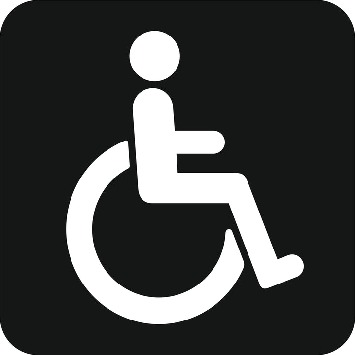 Toilet handicap
