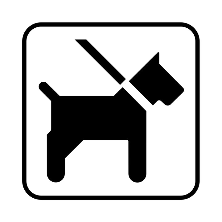 Hund i snor