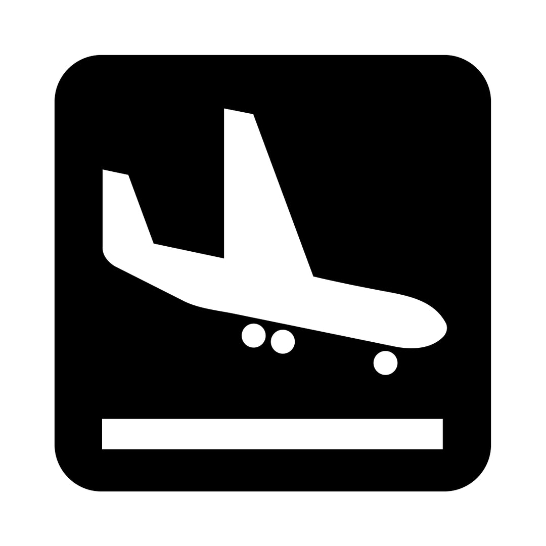 Fly ankomst