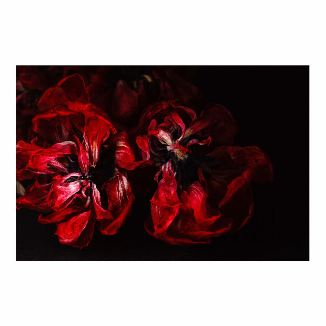 Røde blomster