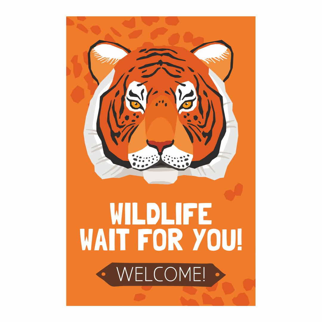 Zoo - Tiger